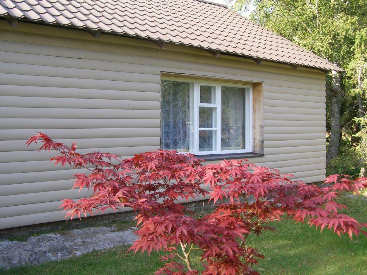 Kipi-Koovi Holiday Centre Exteriör bild